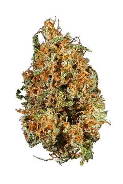 Ice Queen - Hybride Cannabis Strain