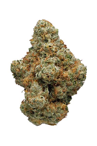 Icka - Hybrid Cannabis Strain
