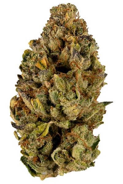 Inner Chi - Hybride Cannabis Strain