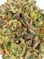 Iron Lotus Hybrid Cannabis Strain Thumbnail