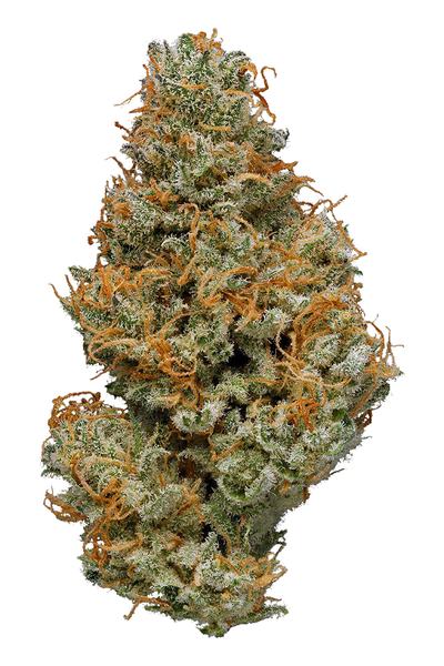 Iron Mike - Híbrida Cannabis Strain