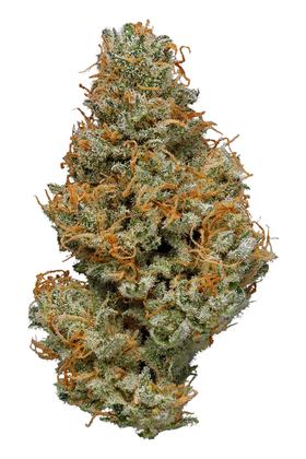 Iron Mike - Hybrid Cannabis Strain