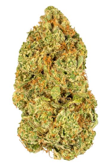 Island OG #2 - Hybrid Cannabis Strain