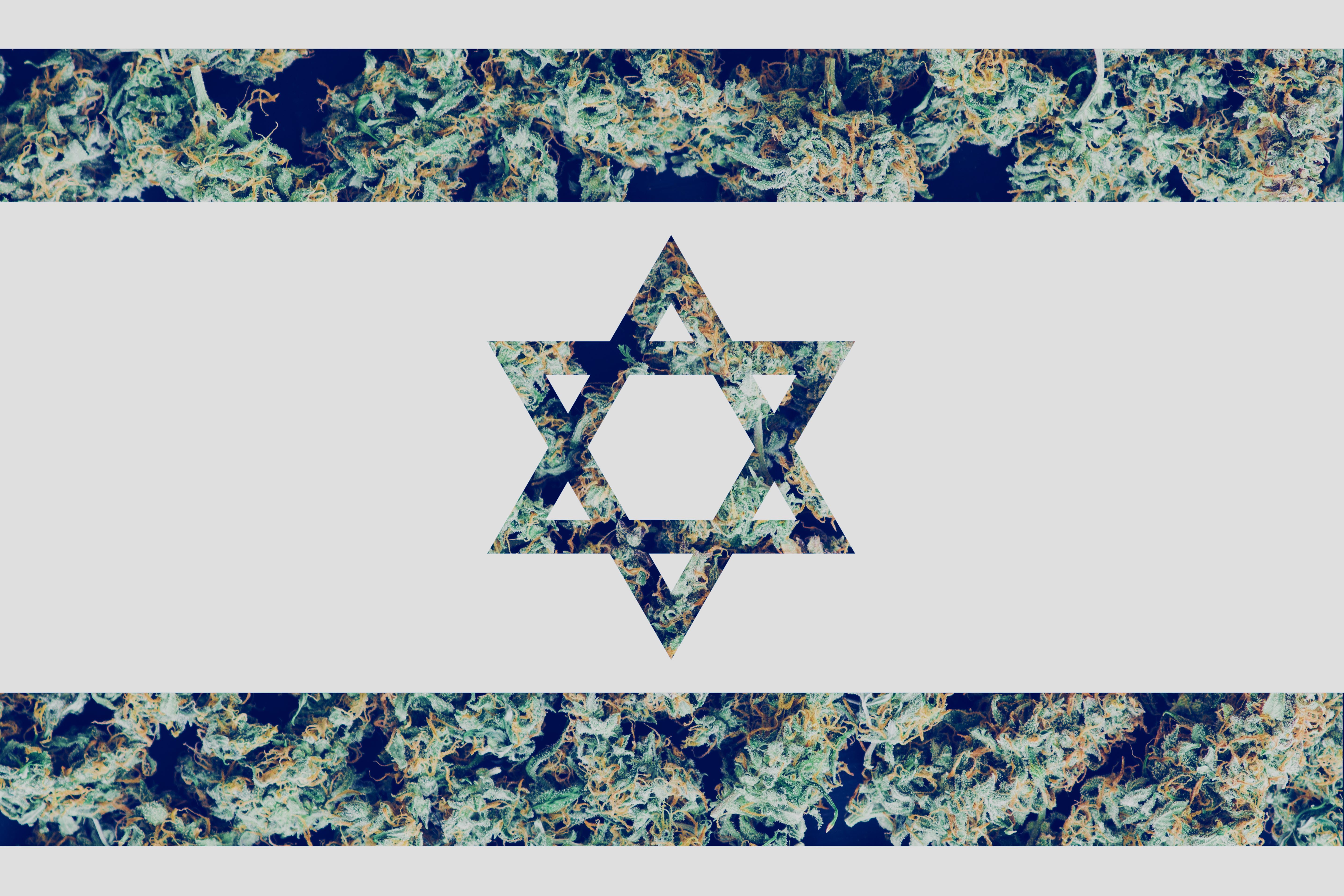 Israel Government Going for Full Cannabis Decriminalization and Expungement