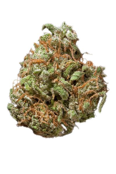 Item 9 - Hybrid Cannabis Strain