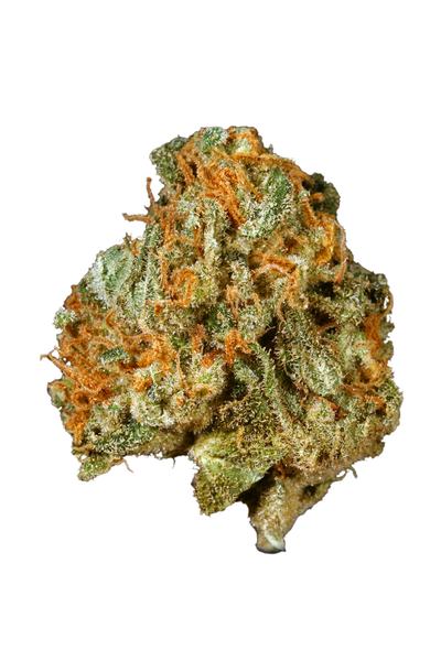 Jack 47 - Hybrid Cannabis Strain