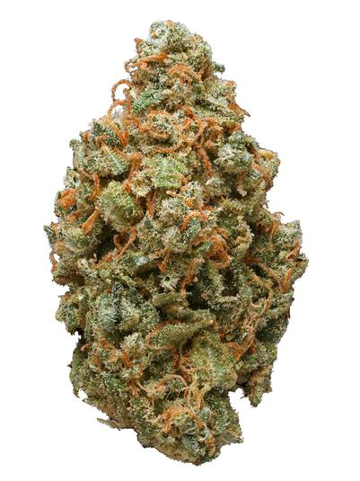 Jack Diesel - Sativa Cannabis Strain