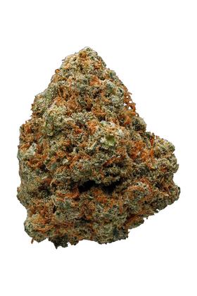 Jack Flash - Hybrid Cannabis Strain
