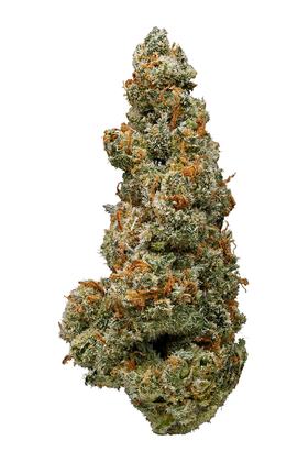 Jack Frost - Hybrid Cannabis Strain