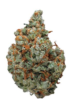Jack Haze - Hybrid Cannabis Strain