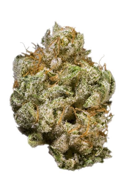Jack Kush - 混合物 Cannabis Strain