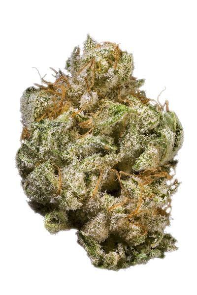 Jack Kush - Híbrido Cannabis Strain