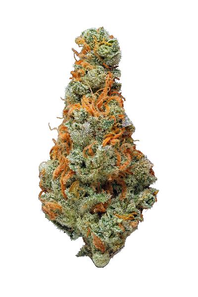 Jack The Ripper - Hybrid Cannabis Strain