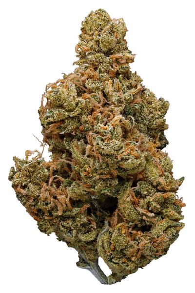 Jack Widow - Hybrid Cannabis Strain