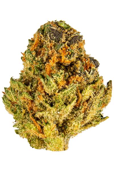 Jacked Up - Híbrido Cannabis Strain