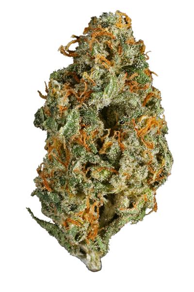 Jacky White - Sativa Cannabis Strain