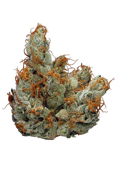 Jah Kush - Hybrid Cannabis Strain