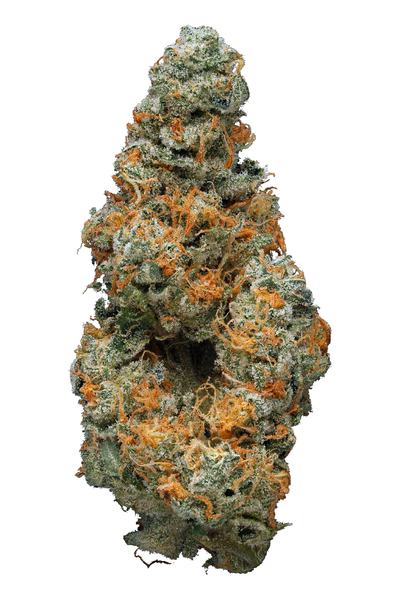 Jahlato - Híbrida Cannabis Strain