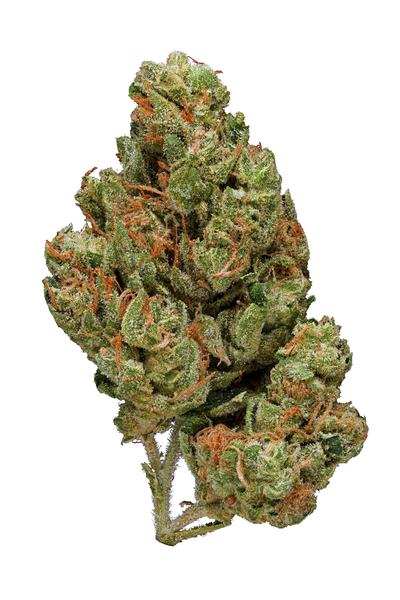 Jamaican Dream - Sativa Cannabis Strain