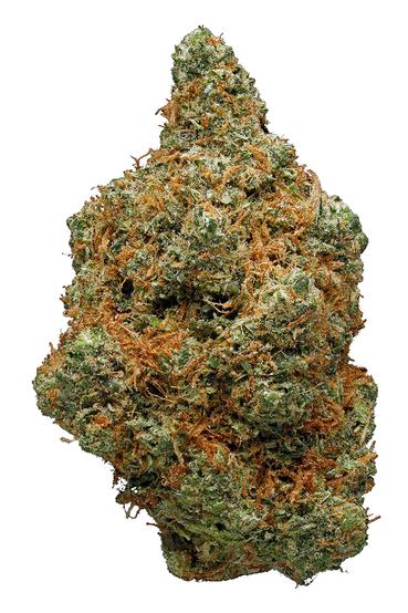 Jamaican Lion - Sativa Cannabis Strain