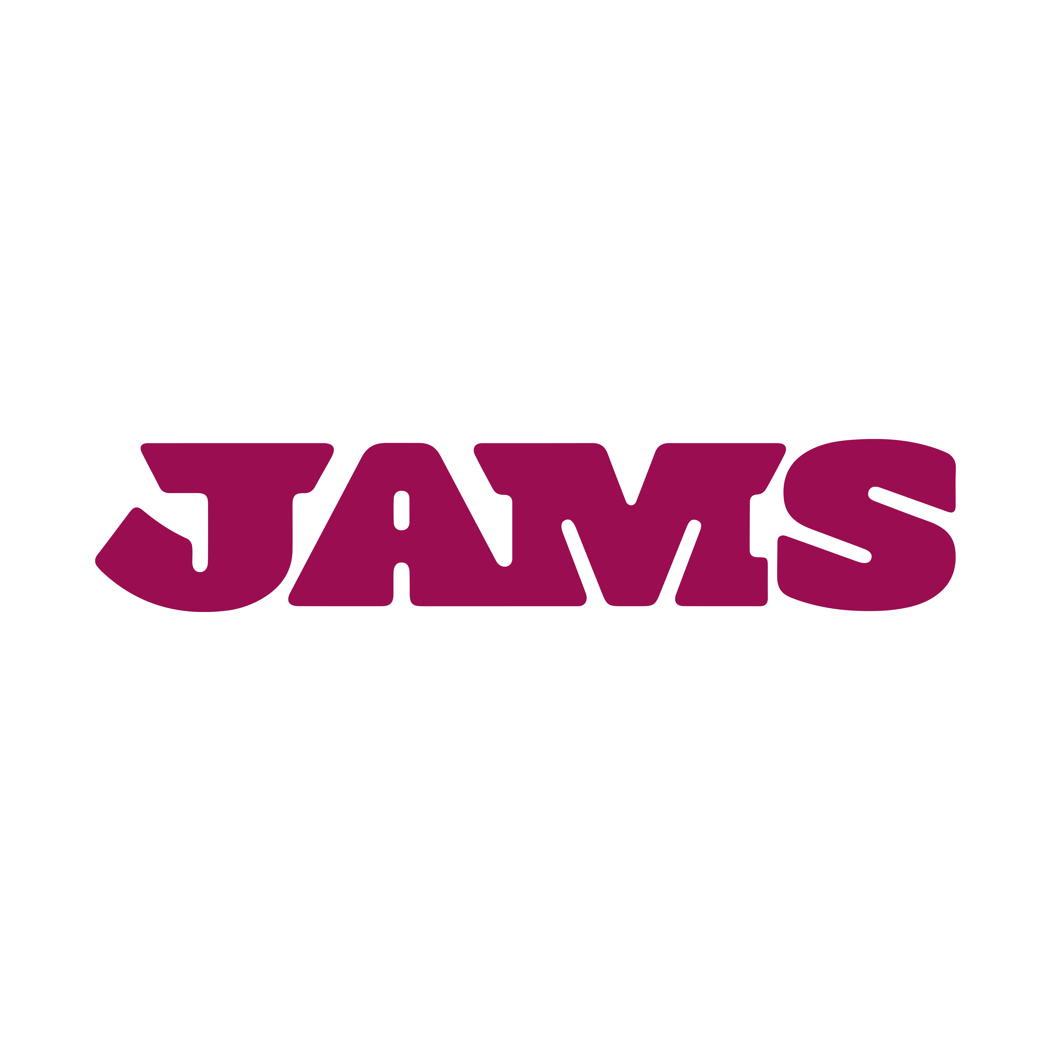 JAMS Logo