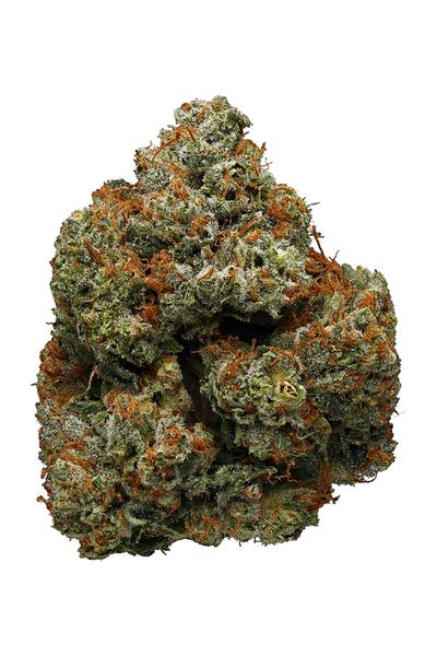 Jedi OG - Hybrid Cannabis Strain