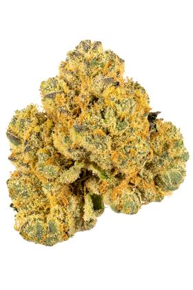Jelly Breath - Híbrida Cannabis Strain