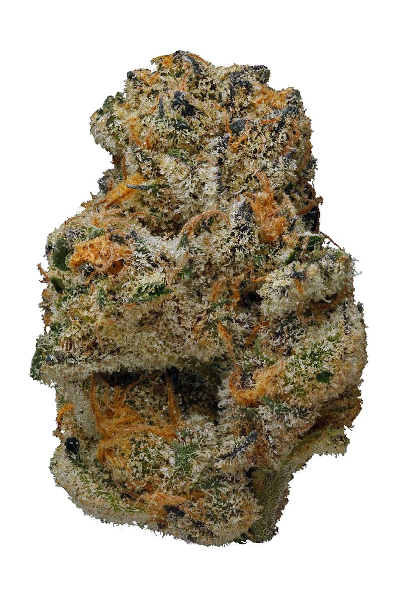 Jenny Kush - Híbrida Cannabis Strain