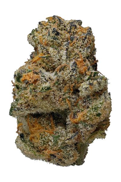 Jenny Kush - Hybrid Cannabis Strain