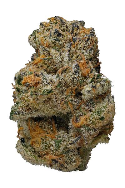 Jenny Kush - Hybride Cannabis Strain