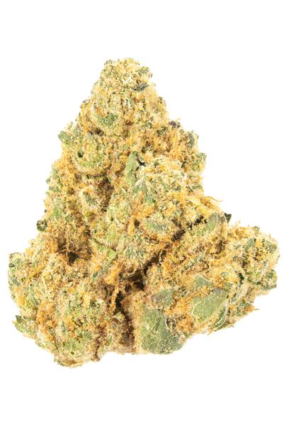 JMO - 混合物 Cannabis Strain