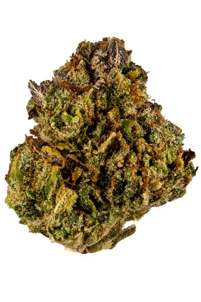 Johnny Chimpo - Híbrida Cannabis Strain