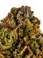 Johnny Chimpo Hybrid Cannabis Strain Thumbnail