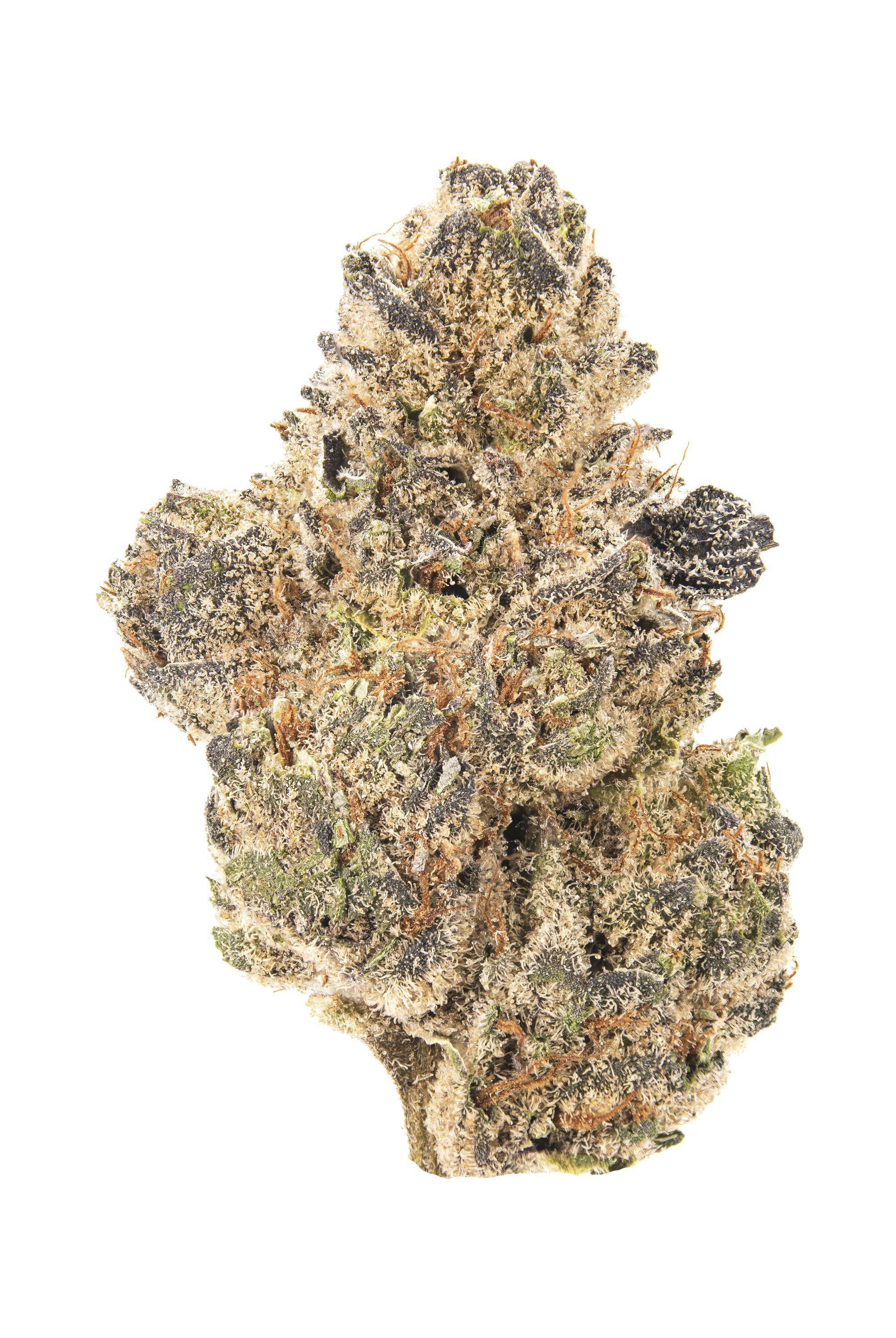 Jokerz Candy Cannabis Strain Bud