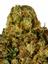 Josey Wales Hybrid Cannabis Strain Thumbnail