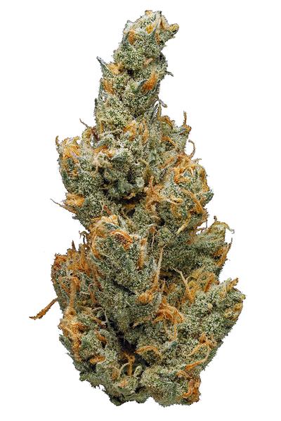 Juicy Fruit - Híbrida Cannabis Strain