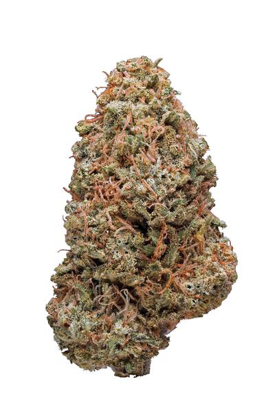 Juicy Jack - Hybrid Cannabis Strain
