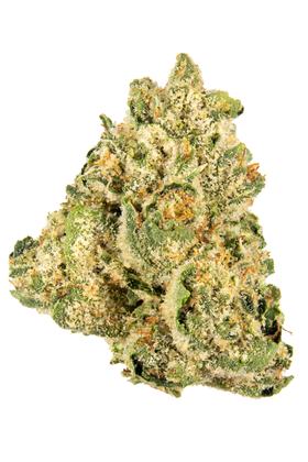 Jungle Cake - Híbrida Cannabis Strain