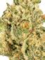 Jungle Cake Hybrid Cannabis Strain Thumbnail