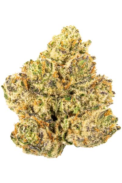 Jungle Cookies - Hybrid Cannabis Strain