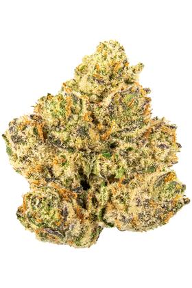 Jungle Cookies - 混合物 Cannabis Strain