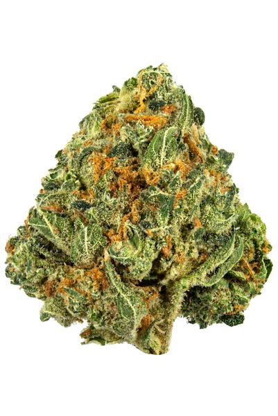 K-Smorz - Hybrid Cannabis Strain