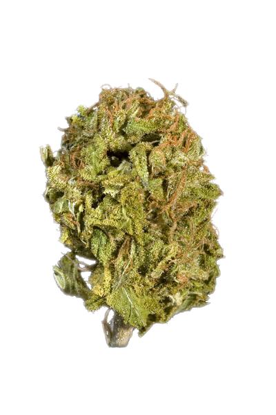 K2 - Hybrid Cannabis Strain