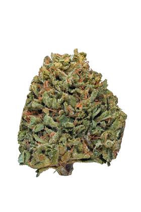 Kashmir OG - Hybrid Cannabis Strain