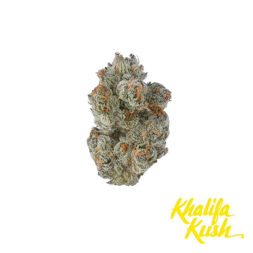 Point Breeze Product Image