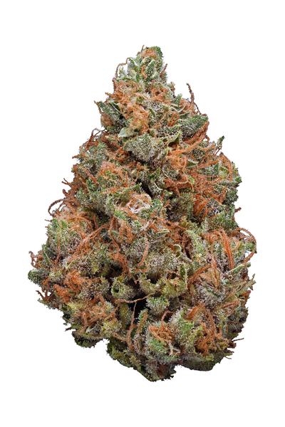 Killer Grape - Hybrid Cannabis Strain