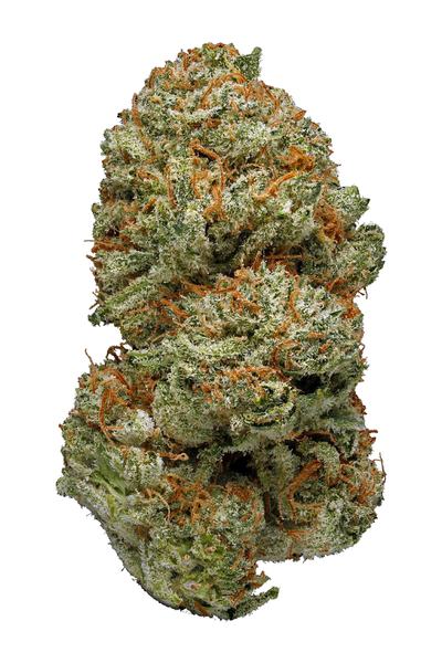 Killer Queen - 混合物 Cannabis Strain