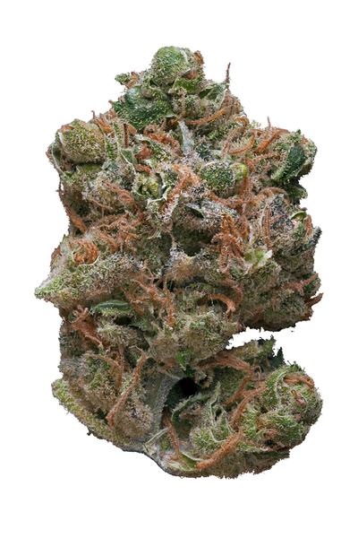 Kimbo Kush - Híbrido Cannabis Strain