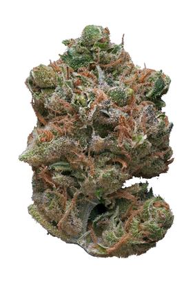 Kimbo Kush - Híbrida Cannabis Strain