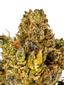 King Kong Glue Hybrid Cannabis Strain Thumbnail